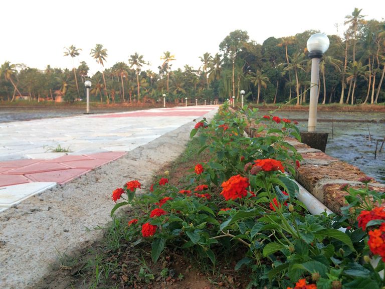 15_Flowers on the way